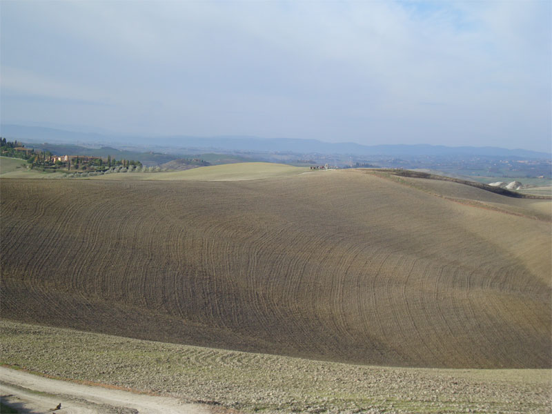 gal/2009/11 - Le escursioni della Ciclistica Valdarbia/DSC01561-01.jpg